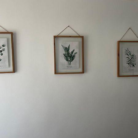 Carmen12 Apartment Xativa Ngoại thất bức ảnh